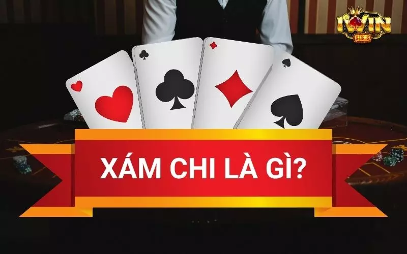 Xám chi là gì? Tại sao xám chi lại quan trọng